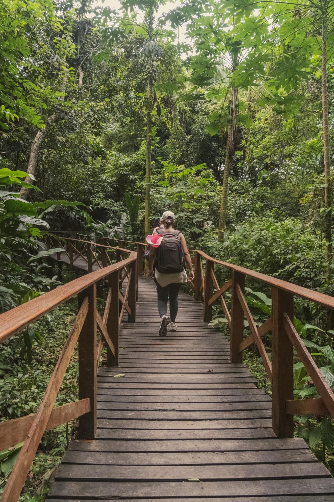 אל סאינו Ecohotel Yachay Tayrona Dentro Del Parque Tayrona מראה חיצוני תמונה
